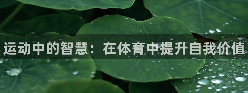 betway西汉姆官网