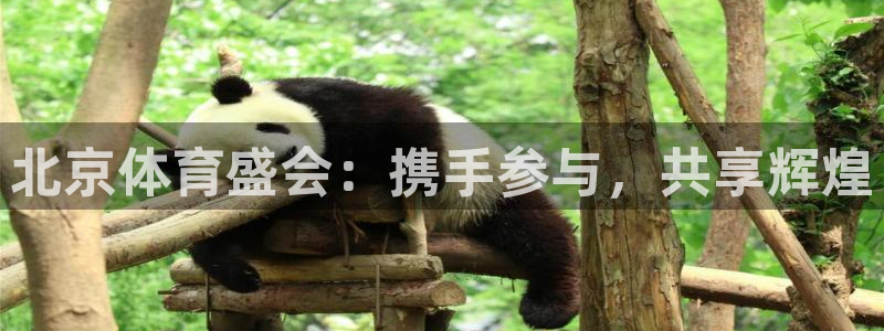 betway西汉姆