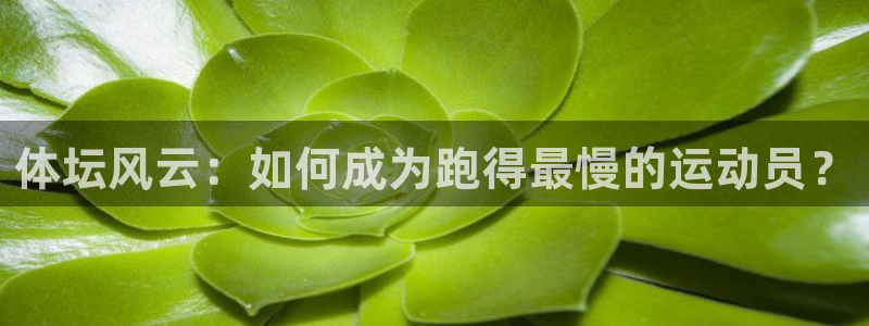 betway西汉姆：体坛风云：如何成为跑得最慢的运动员？