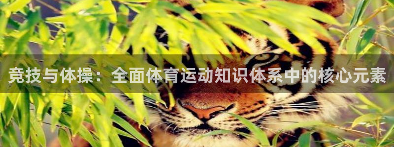 betway西汉姆联官网
