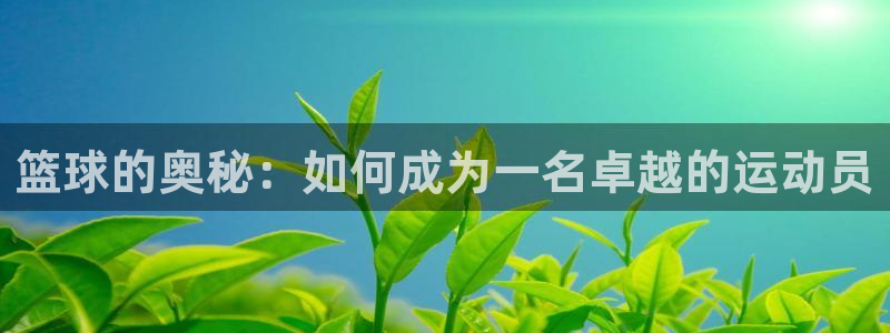 betway西汉姆