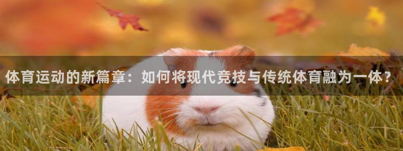 betway西汉姆联