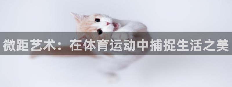 betway西汉姆联官网