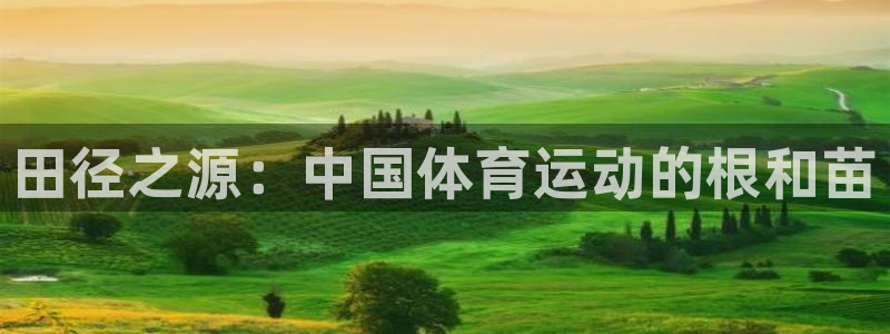 必威betway西汉姆联
