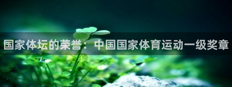 betway西汉姆：国家体坛的荣誉：中国国家体育运动一级奖章